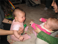 d0000937_80193.jpg