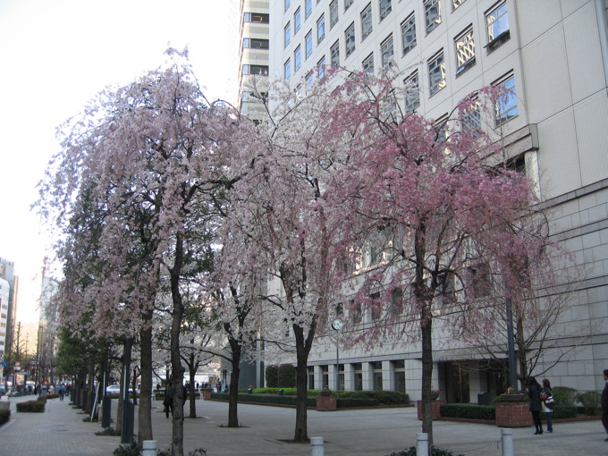 a0051443_18182834.jpg