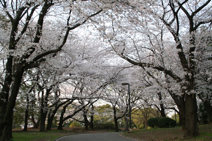 a0051443_18241619.jpg