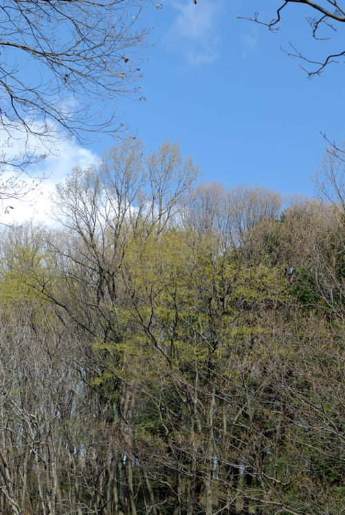b0036743_227136.jpg