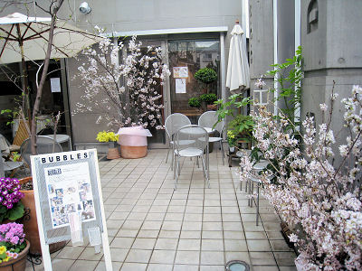 通路にも桜が♪"