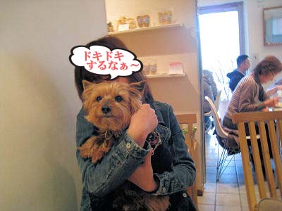 デニーものんこさんに抱っこされて♪"