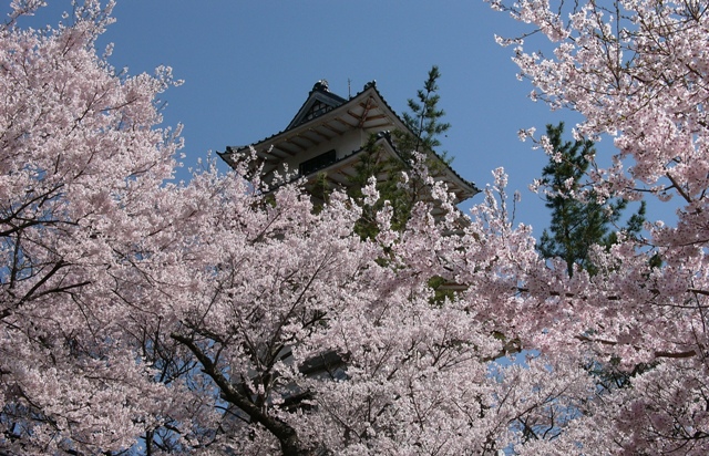 c0122445_15124599.jpg