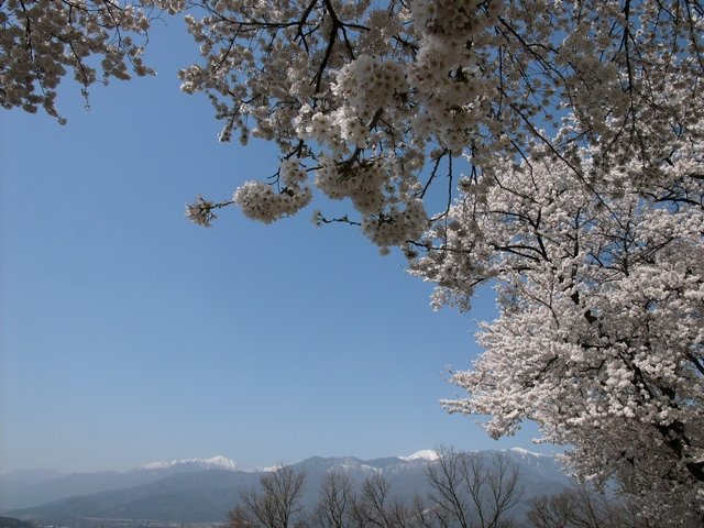 c0122445_15133437.jpg