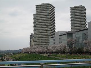 c0156345_1425241.jpg