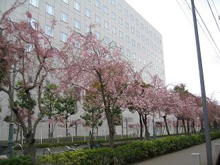 c0156345_1425692.jpg