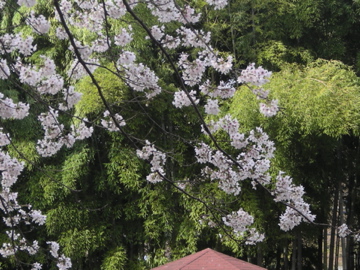c0106446_0111748.jpg