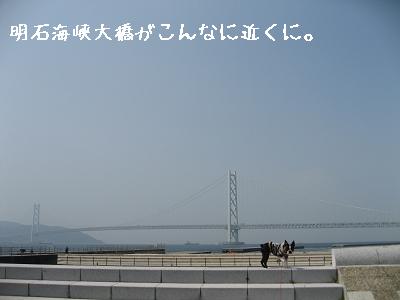 e0126046_22314366.jpg
