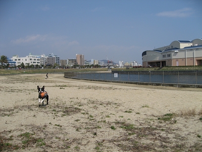 e0126046_22553393.jpg
