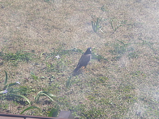 c0123149_13254297.jpg