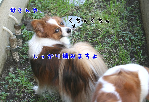 d0013149_012738.jpg