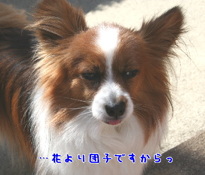 d0013149_0302991.jpg