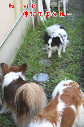 d0013149_045137.jpg