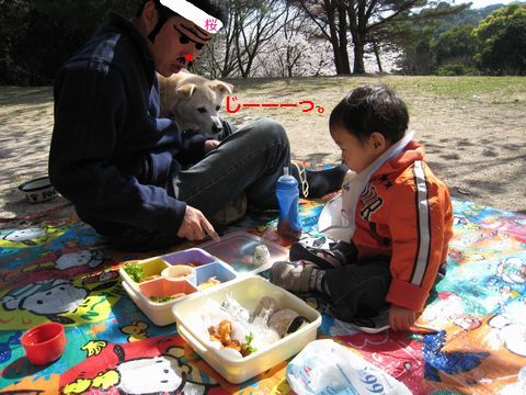a0090451_234280.jpg