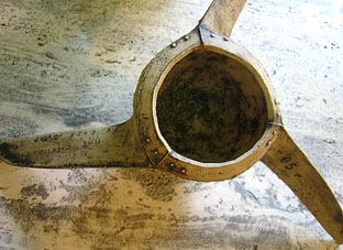 e0060452_4441289.jpg