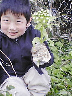 e0085052_1792924.jpg