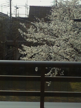 b0124355_19321286.jpg