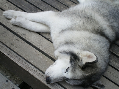 a0066258_22284489.jpg
