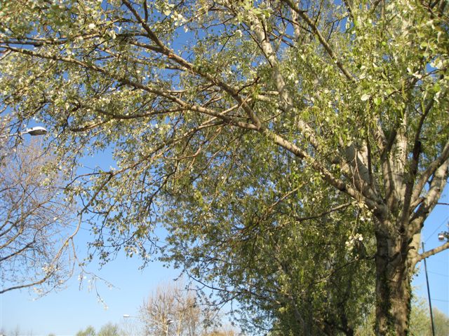 f0077159_23461212.jpg