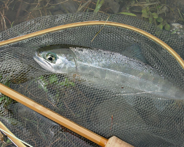 b0053660_11394437.jpg