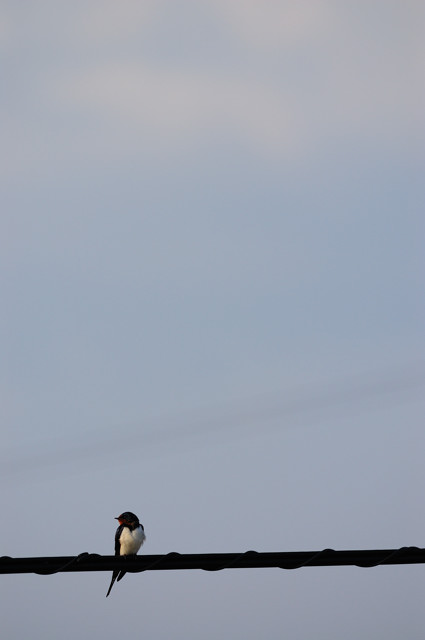 b0041767_723378.jpg