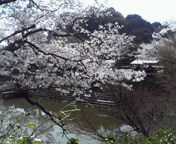 e0015370_11434449.jpg