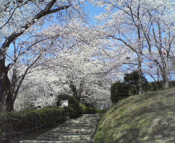 e0015370_11441278.jpg