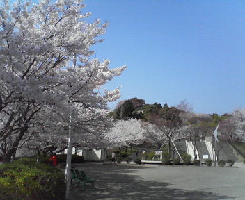 e0015370_11442928.jpg