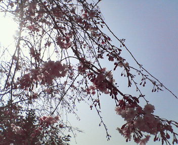 e0015370_11444922.jpg