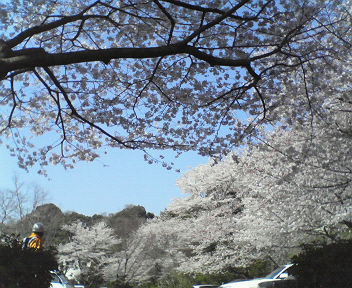 e0015370_11445762.jpg