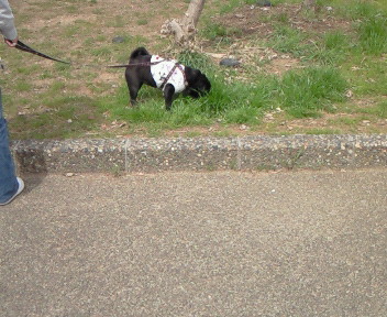 f0014371_9592043.jpg