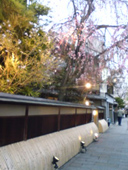 e0025073_12431198.jpg