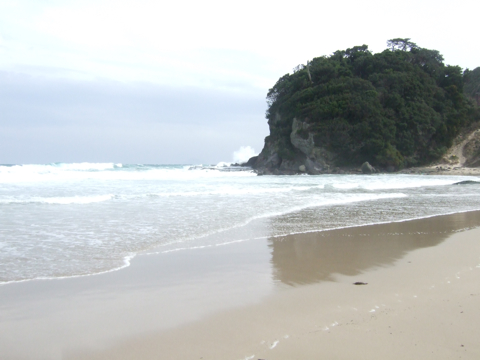 f0070875_0284544.jpg
