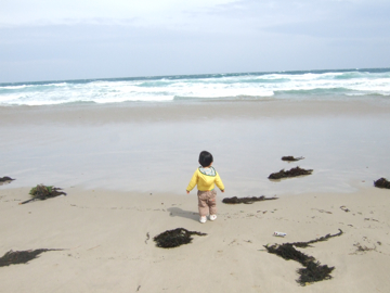 f0070875_0309100.jpg