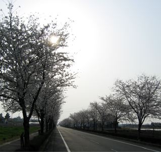 e0132881_1515749.jpg