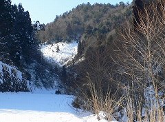 b0042882_2011747.jpg
