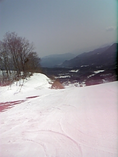 c0096582_11254725.jpg