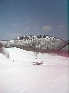 c0096582_11255034.jpg