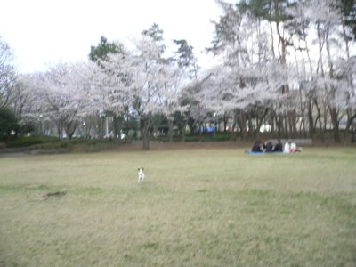 a0105289_194383.jpg