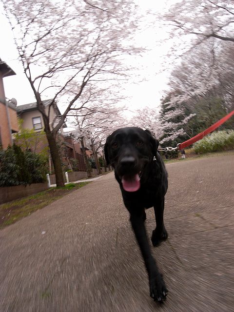 a0093592_005886.jpg