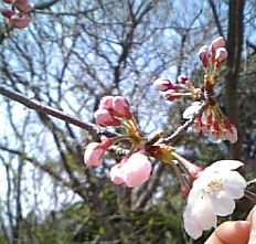 c0025593_1842982.jpg