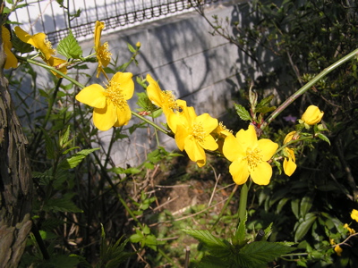 f0130894_2039294.jpg