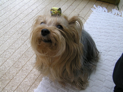 f0130894_2047333.jpg