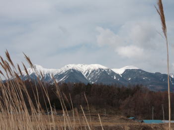 b0115497_77425.jpg