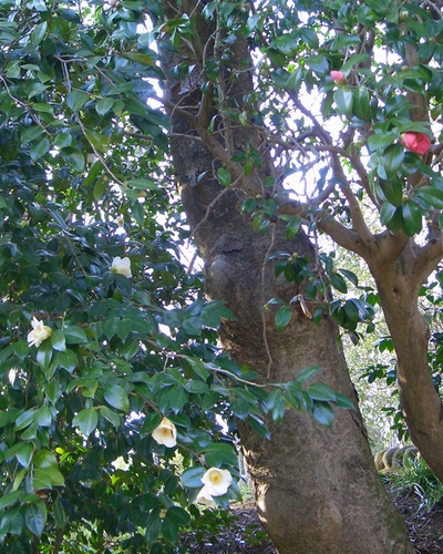 d0069498_17402334.jpg