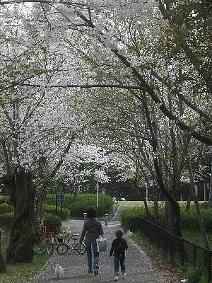 a0051402_2335757.jpg