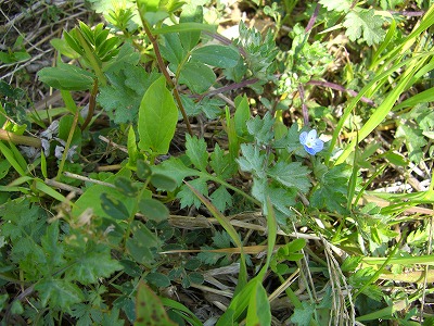 c0125702_073157.jpg