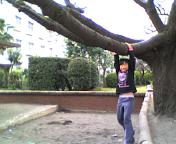 c0071003_1055683.jpg