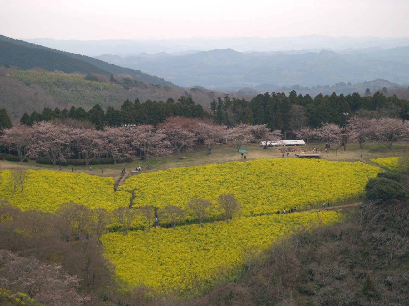 a0024004_17493780.jpg