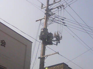 d0149105_1322014.jpg